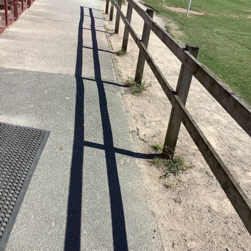 Shadow Fun!