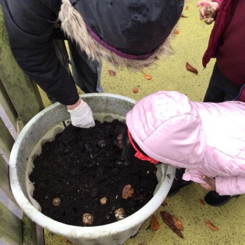We thought about what Police officers do this week, we also planted some bulbs!