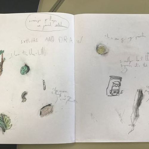 Year 2 Explore and Draw