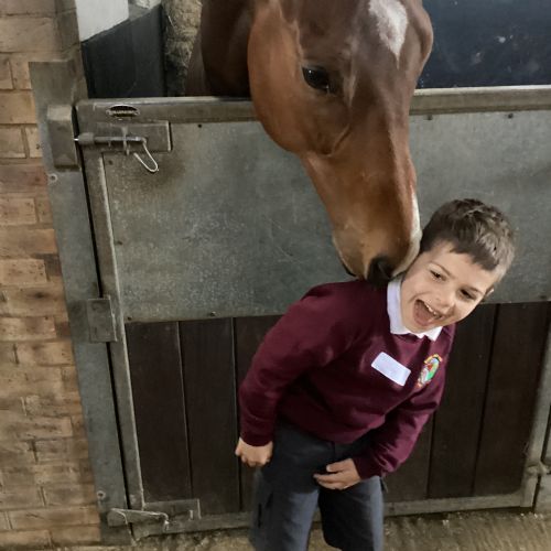 Class trip to The Thoroughbred Rehabilitation Centre  ​​