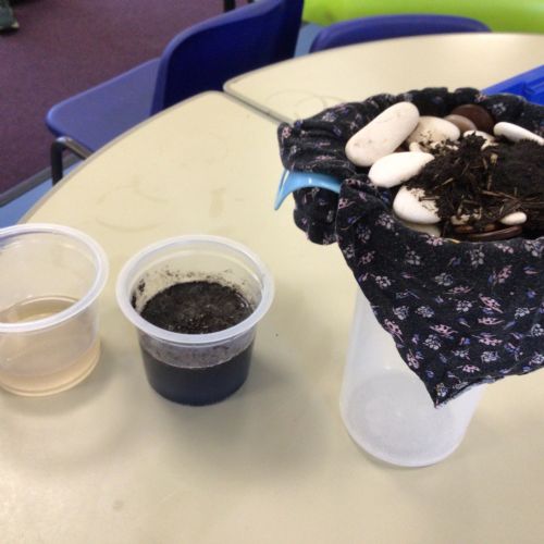 Science Week
