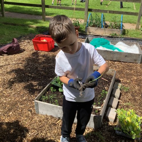 Gardening Group
