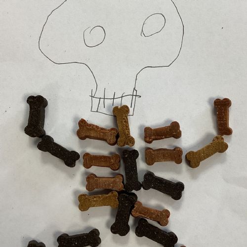 Dog Biscuit Skeletons
